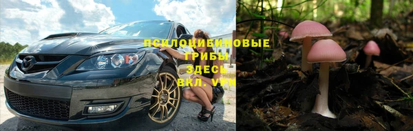 гашик Бронницы