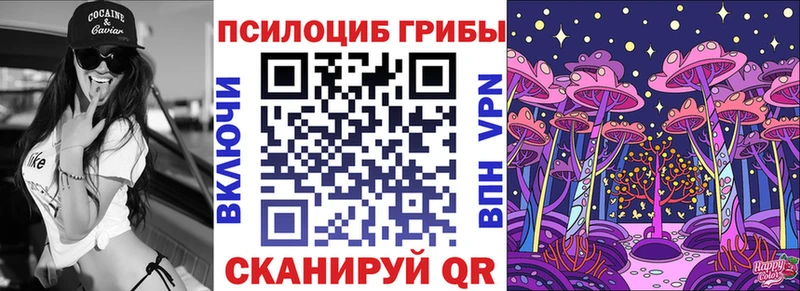 закладка Новосиль Галлюциногенные грибы MAGIC MUSHROOMS